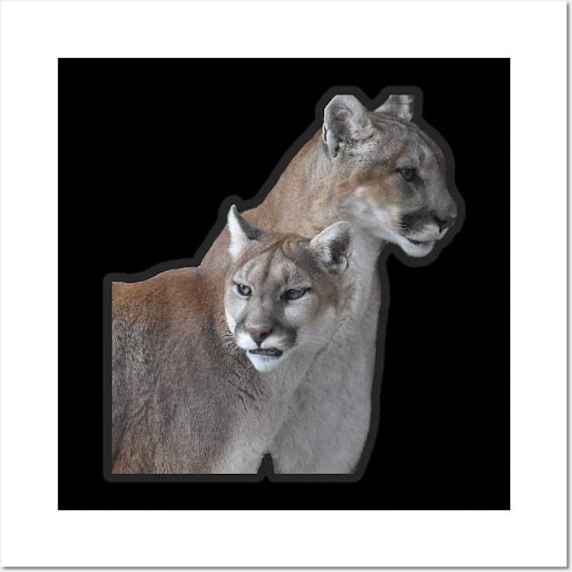 Mountain Lion Wall Art by Sharonzoolady